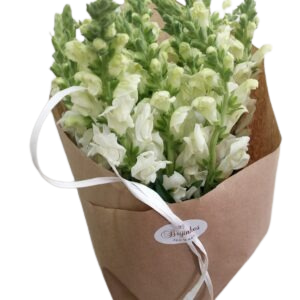 Ramo Funeral Branco