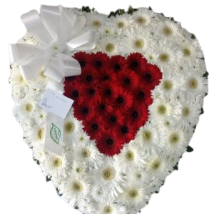 Coração de Gerberas Fechado