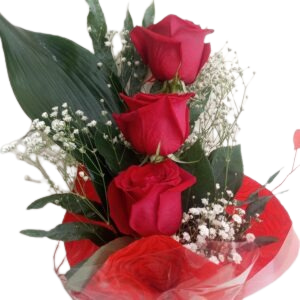 Arranjo Romance